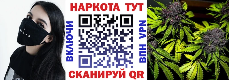 Как найти наркотики Борисоглебск Гашиш  Кокаин  Меф мяу мяу  Alpha PVP  Псилоцибиновые грибы  MDMA  Бошки Шишки 