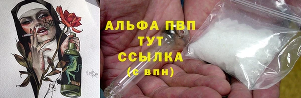 индика Балахна