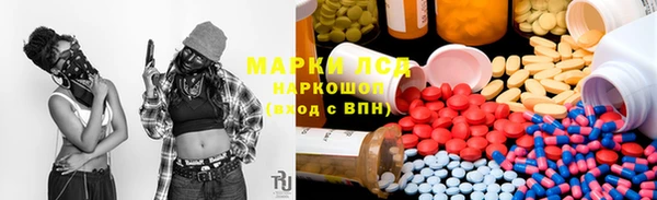 индика Балахна