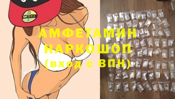 индика Балахна