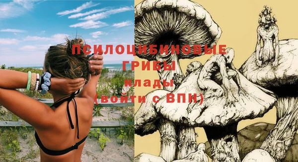хмурый Баксан